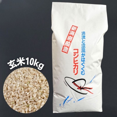 【令和7年産米】新潟県村上市 岩船産コシヒカリ 玄米 10kg×1袋　1100002