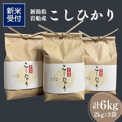 【新米受付・令和7年産米】新潟県村上市　岩船産コシヒカリ精米6kg(2kg×3袋)1103001N