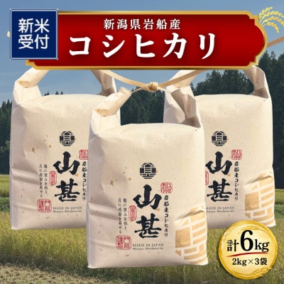 【新米受付・令和8年産米】新潟県村上市　岩船産コシヒカリ精米6kg(2kg×3袋)1103001N