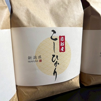 【新米受付・令和7年産米】新潟県村上市　岩船産コシヒカリ精米6kg(2kg×3袋)1103001N