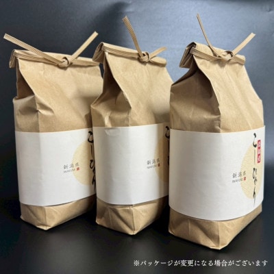【新米受付・令和8年産米】新潟県村上市　岩船産コシヒカリ精米6kg(2kg×3袋)1103001N