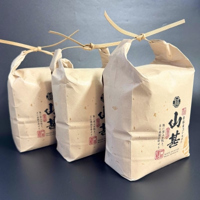【新米受付・令和8年産米】新潟県村上市　岩船産コシヒカリ精米6kg(2kg×3袋)1103001N
