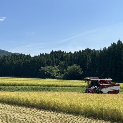 新米【令和7年産米】新潟県村上市 岩船産コシヒカリ 6kg(2kg×3袋) 1103001