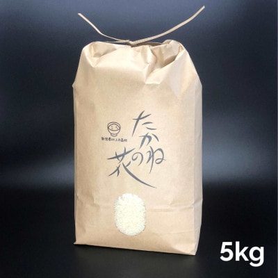 【令和7年産米】新潟県村上市岩船産　棚田米コシヒカリ「たかねの花」5kg　精米　1104001