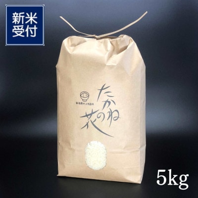 【新米・令和8年産】新潟県村上市岩船産　棚田米コシヒカリ「たかねの花」精米　5kg　1104001N