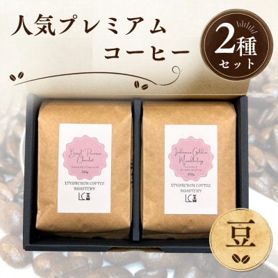自家焙煎コーヒー豆【豆】LC6-1　人気プレミアムコーヒーセット200g×2種　1105010
