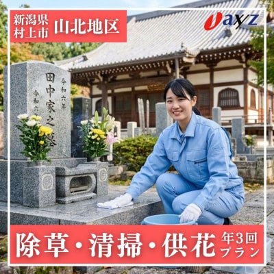 【年3回】お墓掃除代行サービス/清掃・除草・供花【山北地区】1106012