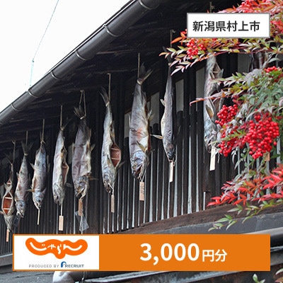 【じゃらんふるさと納税クーポン】 新潟県村上市でつかえる3,000円 クーポン
