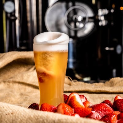 【6本入り】イチゴのサステナブルクラフトビール「さんむRED」缶350ml