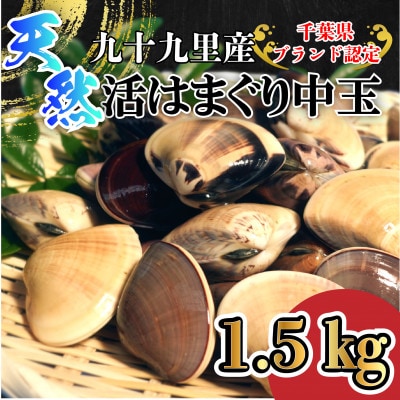天然活はまぐり中玉1.5kg|千葉県九十九里産