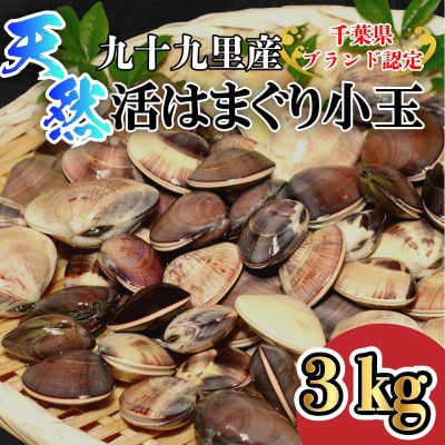 天然活はまぐり小玉【ぜんな】3kg|千葉県九十九里産