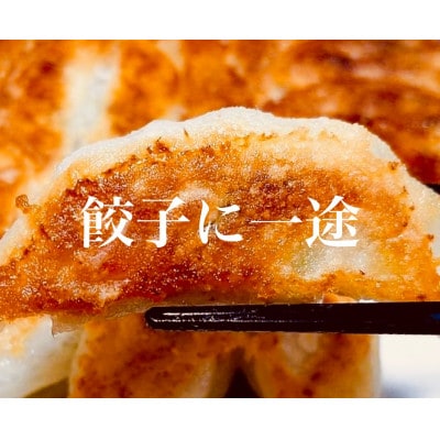 餃子工房穂満謹製　手作り餃子(76個)