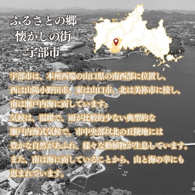 迎春 おせち料理 西京(3段重 冷凍おせち 宇部市) 懐かし カッタ君
