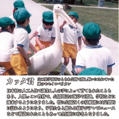 迎春 おせち料理 西京(3段重 冷凍おせち 宇部市) 懐かし カッタ君