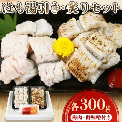 はも湯引き・炙りセット