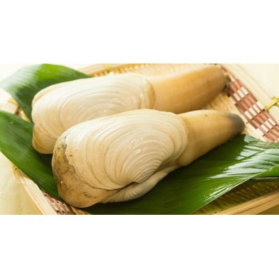 宇部産　白ミル貝　約500g