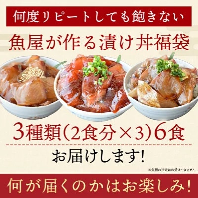 【詰め合わせ】漬け丼 3種×2パック 計6食セット
