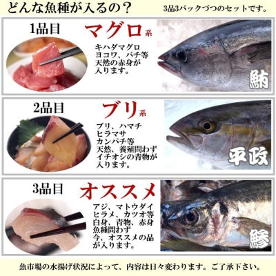 【詰め合わせ】漬け丼 3種×3パック 計9食セット