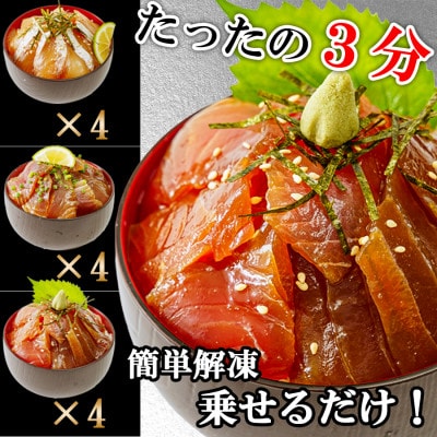 【詰め合わせ】漬け丼 3種×4パック 計12食セット