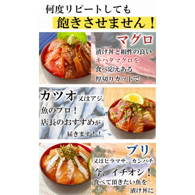 【詰め合わせ】漬け丼 3種×4パック 計12食セット
