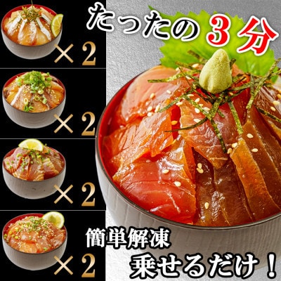 【詰め合わせ】漬け丼 4種×2パック 計8食セット