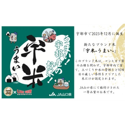 宇部市産 恋の予感 無洗米 宇米 10kg(5kg×2袋)