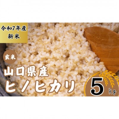 【先行予約/令和7年産新米】宇部市産 ヒノヒカリ[玄米] 5Kg