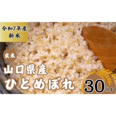 【先行予約/令和7年産新米】宇部市産 ひとめぼれ[玄米] 30Kg