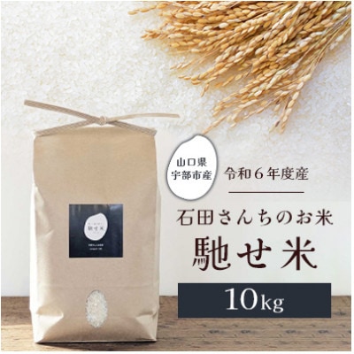 特急便】山口きぬむすめ 令和6年産・10kg(5kg×2): 正直やまぐち