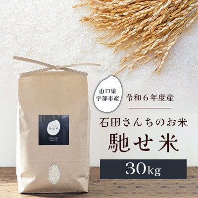 【令和6年度産】石田さんのお米 馳せ米 約30kg