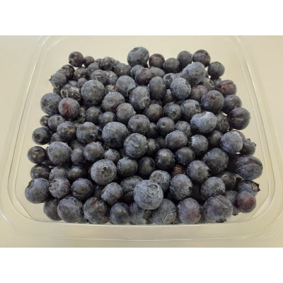 山口県宇部市産 冷凍ブルーベリー 計1kg(500g×2パック)