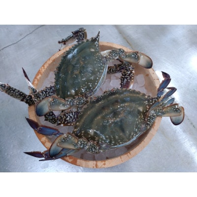 �y�①�z���^���K�j ���X 2�t (��800g)