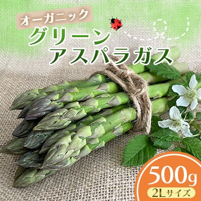 【先行予約】オーガニック グリーンアスパラガス 2L 500g