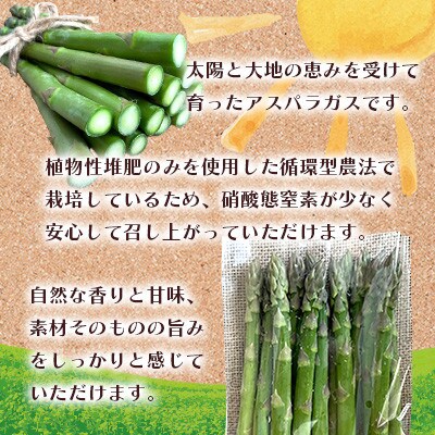 オーガニック グリーンアスパラガス 2L 1kg