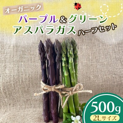 オーガニック パープル&グリーンアスパラガス ハーフセット 2L　500g