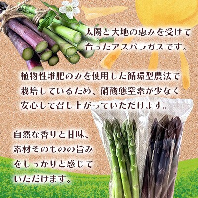 オーガニック パープル&グリーンアスパラガス ハーフセット3L 500g