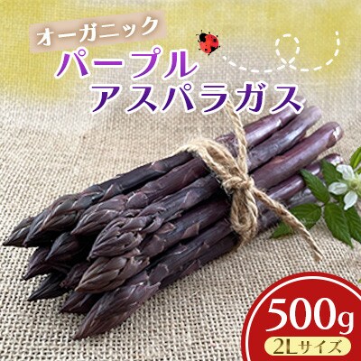オーガニック パープルアスパラガス 2L 500g