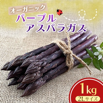 オーガニック パープルアスパラガス 2L 1kg
