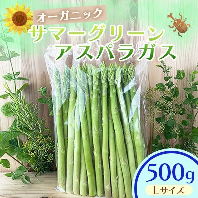 オーガニック サマーグリーンアスパラガス L 500g