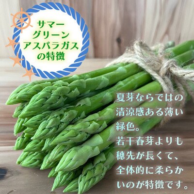 オーガニック サマーグリーンアスパラガス L 500g
