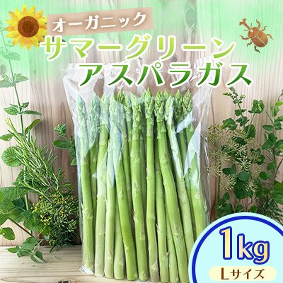 オーガニック サマーグリーンアスパラガス L　1kg