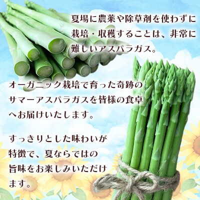 オーガニック サマーグリーンアスパラガス L　1kg