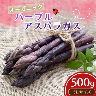 オーガニック パープルアスパラガス 3L 500g