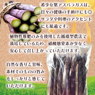 オーガニック パープルアスパラガス 3L　1kg
