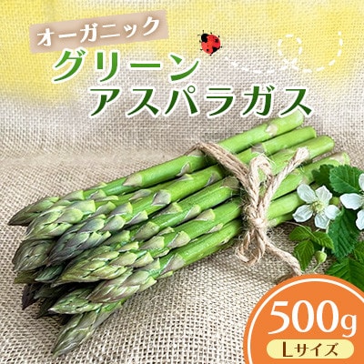 オーガニック グリーンアスパラガス L 500g