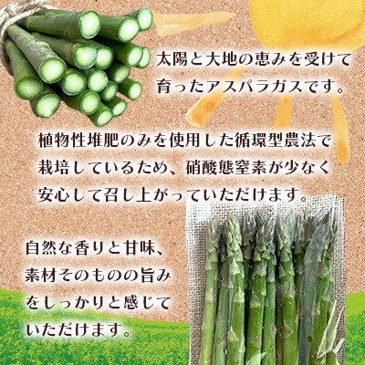 オーガニック グリーンアスパラガス L 500g