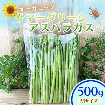 オーガニック サマーグリーンアスパラガス M 500g