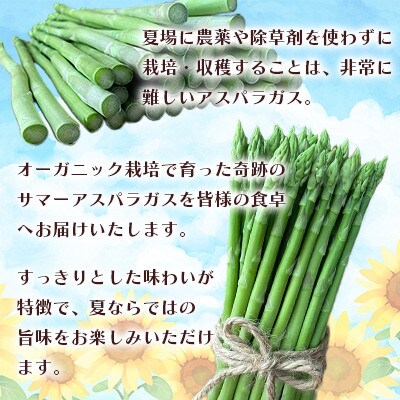 オーガニック サマーグリーンアスパラガス M 500g
