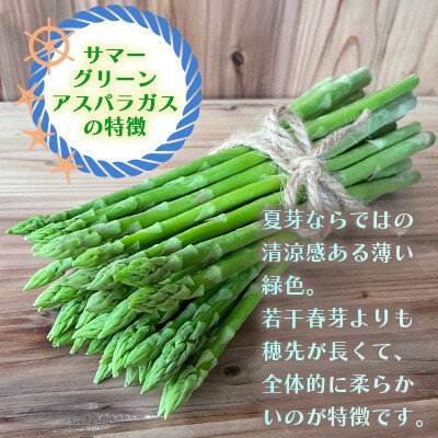 オーガニック サマーグリーンアスパラガス M 500g