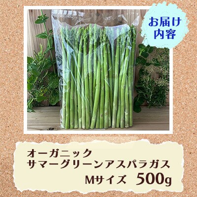 オーガニック サマーグリーンアスパラガス M 500g